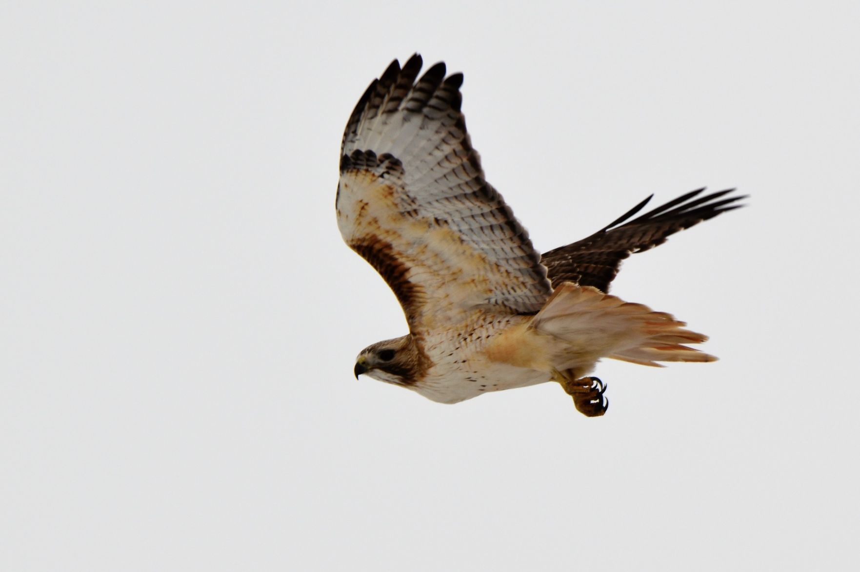040318-nws-readerphoto